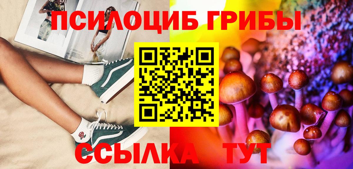 Саров  Псилоцибиновые грибы MAGIC MUSHROOMS  Вход с VPN 